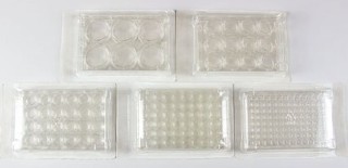 cell-culture-plate.jpg