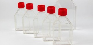 Cell-Culture-Flask.jpg
